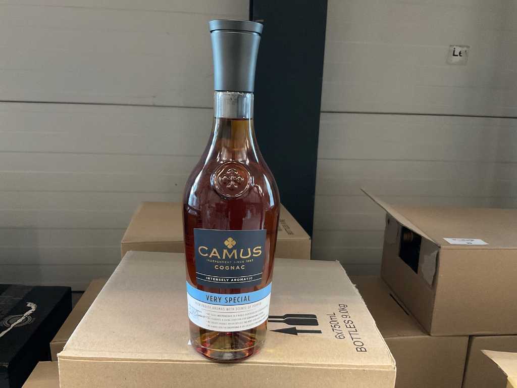 Camus Molto speciale - Cognac (11x)