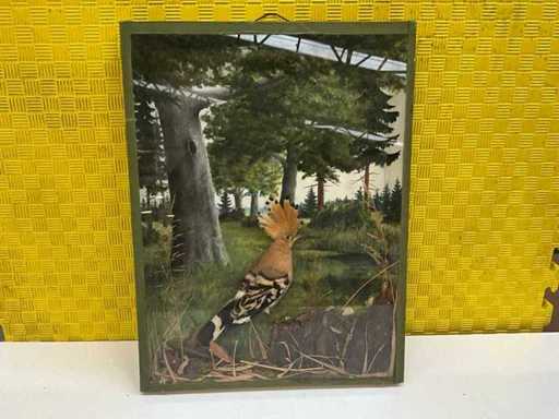 Illustration de la nature « hop »