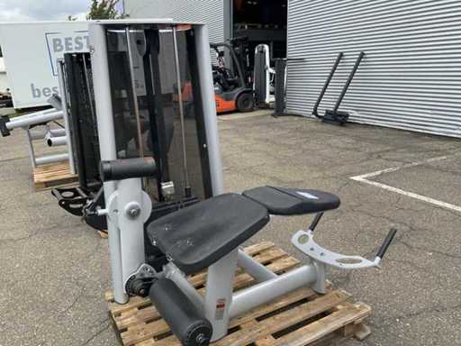 Gym80 Signum Phrone Leg Curl Kraftstation