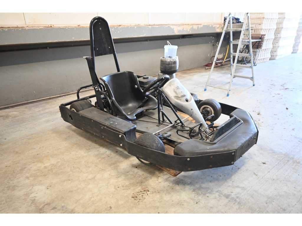 200cc kart hot sale