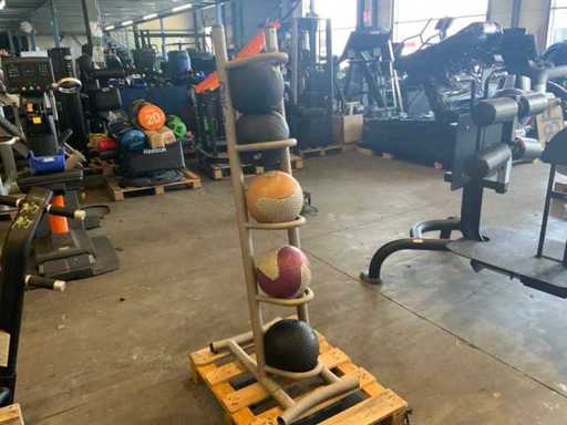onbekend medicine ball met rek 5x ball Krachtstation