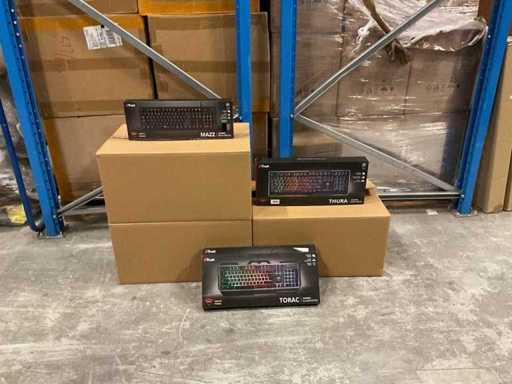 Tastiere tedesche Partij Trust (32x)