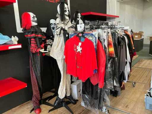 Various costumes and accessories (375x)