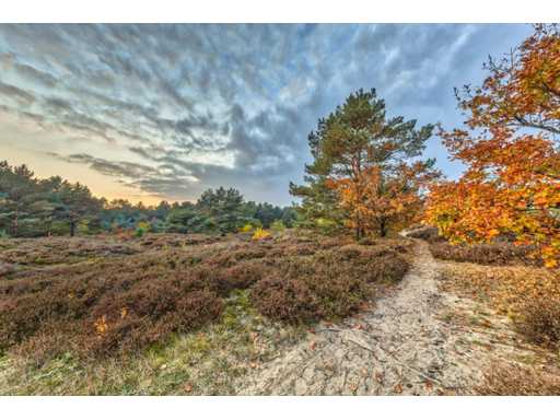 Studio Fotografico 57