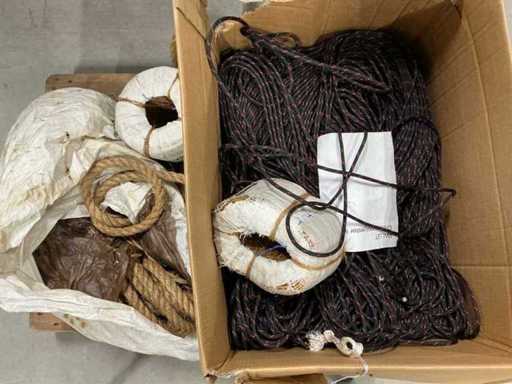 Palette : différentes lignes en polyester