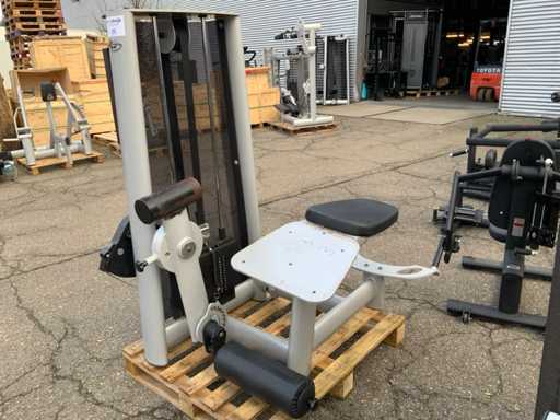 Stația electrică Gym 80 semnum phrone leg curl