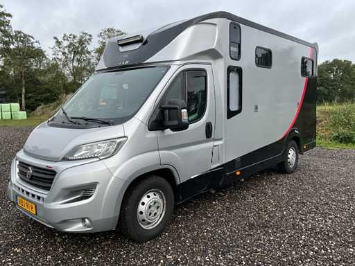 2019 Fiat Carroceria Ameline Ducato 35H 2.3 MultiJet Calèche 2 Chevaux