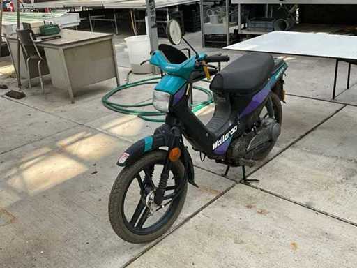 Honda Wallaroo Snorfiets