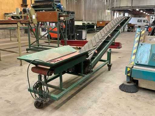 Elevator conveyor belt