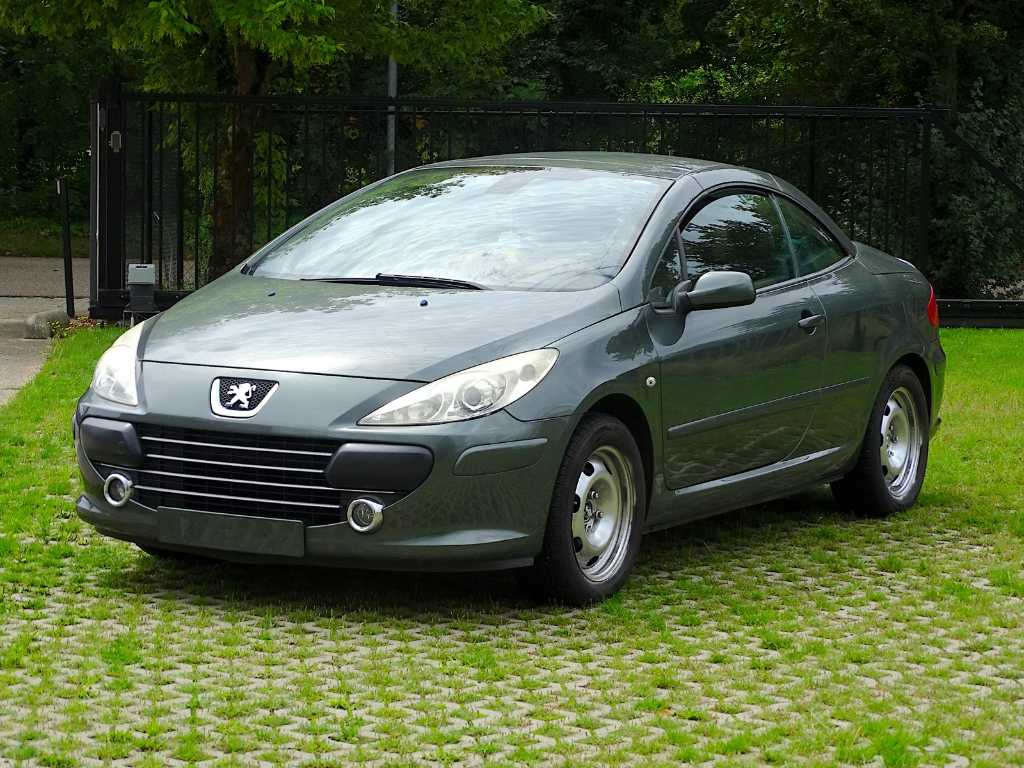 Peugeot 307 CC 1.6i (project-basis)