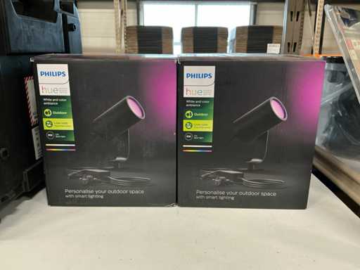 Philips Hue Lily (2x)