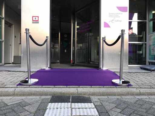 GJ Floors Dallas Purple Roll Runner with rubber lower back (2x)