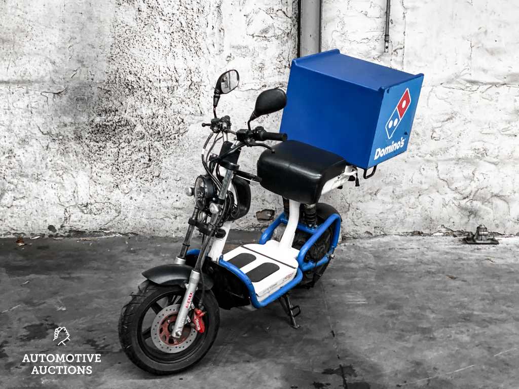 Elektro Dutchman Pro 45 Moped Roller 2019, DVB-05-B