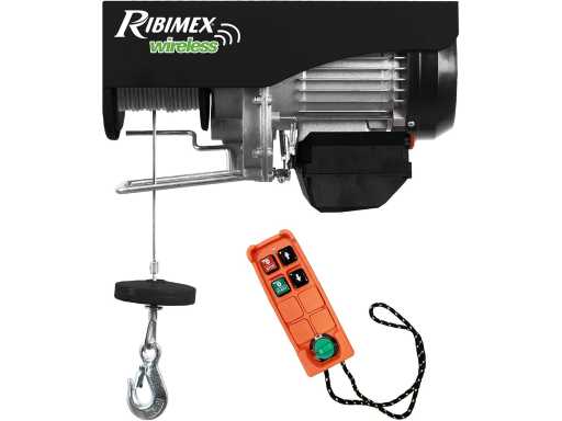 Ribimex 230V Treuil à câble avec télécommande