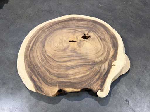 Rond suar boomstam blad 