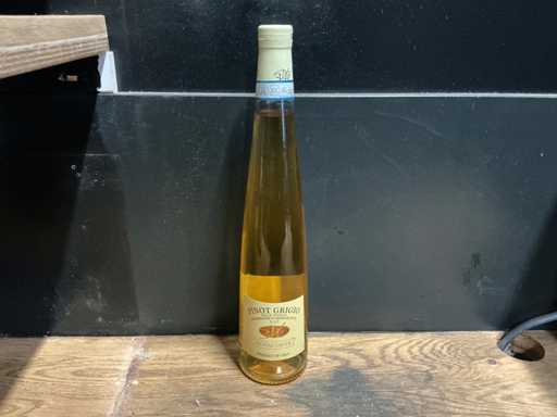 Novacorte - Pinot Grigio - Witte wijn (6x)