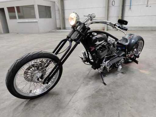 Harley Davidson - Motorcycle