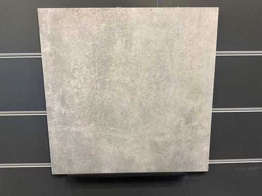 Ascot - Prowalk szary - 60 x 60 cm - 11m2 Płytki podłogowe