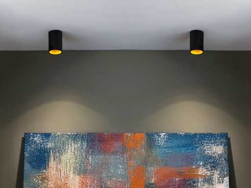 GU10 Surface-mounted spot Fixture (30x)