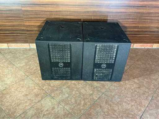 DAS Audio Control29AV PA Subwoofer (2x)