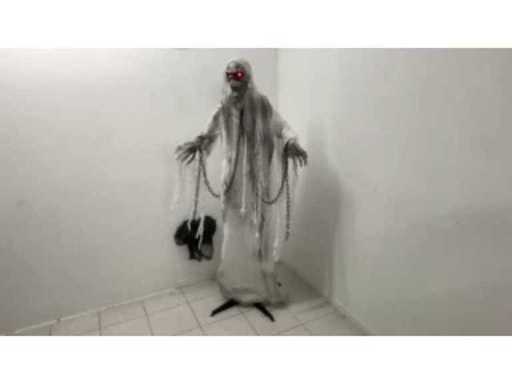 ea422daa-a32a-4f5e-a864-646e4bb366aa.mp4