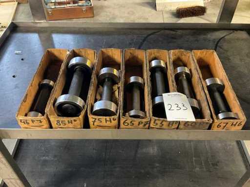 Caliber (7x)
