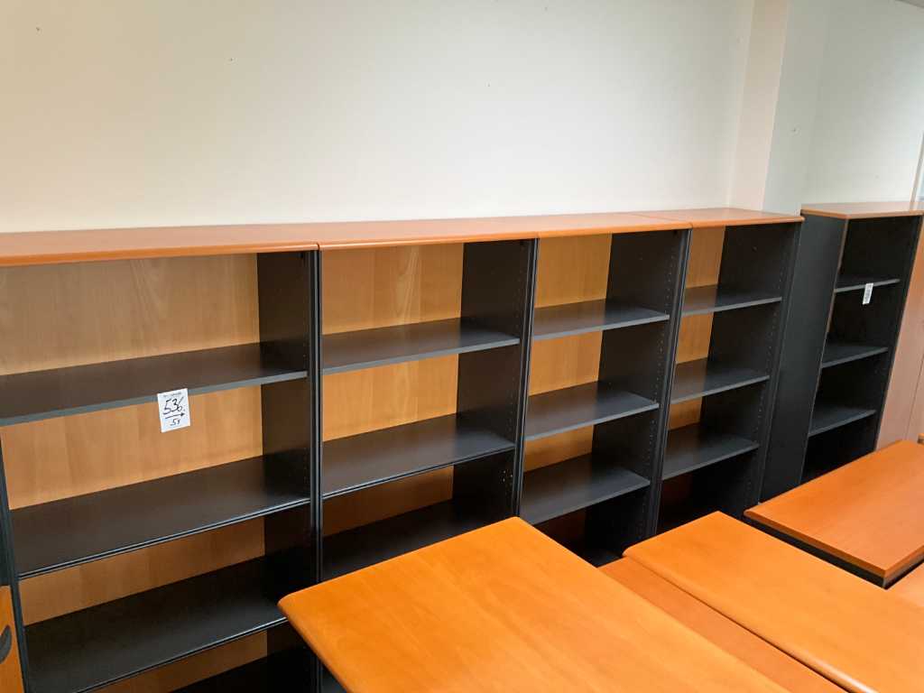 Shelves (5x)