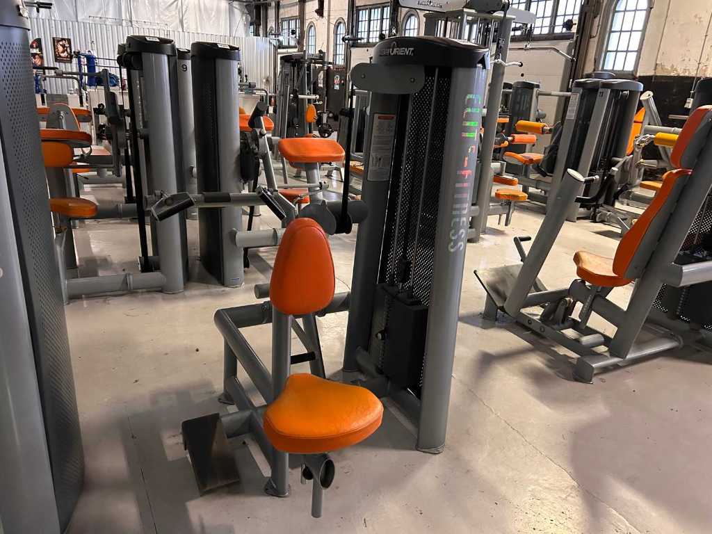 Elite Fitness - Seated Row - strength machine