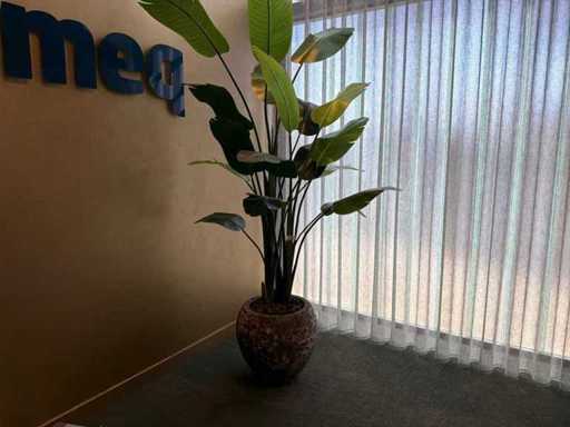 Künstliche Zimmerpflanze im Topf