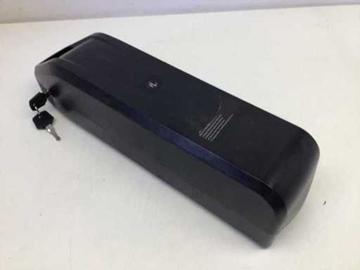 V20 Pro Fatbike Accu 13INR19/66-5 incl. 2 Sleutels 2024