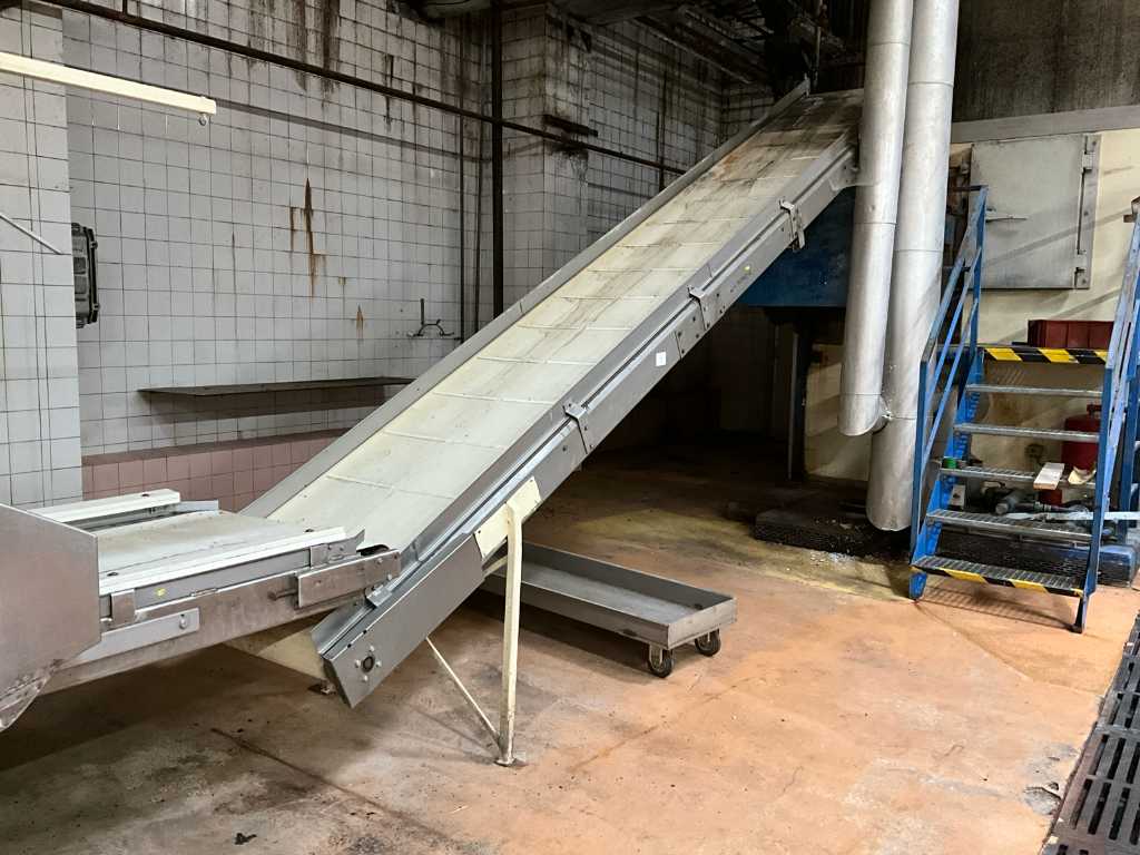 Inclined Conveyor (c13)