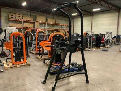 Matrix Aura leg raise abdominal chin dip Krachtstation