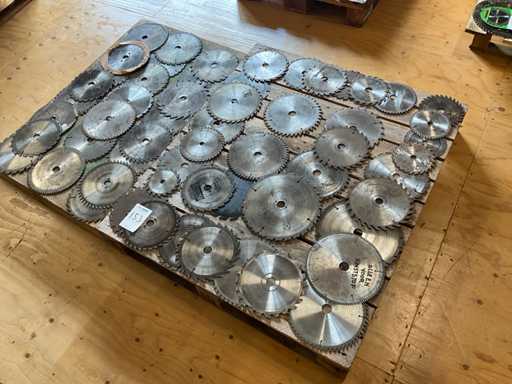 Partia brzeszczotów