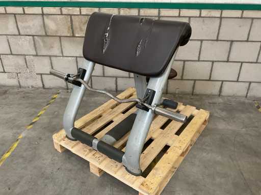 Technogym Selection Scott Training bench with barbell