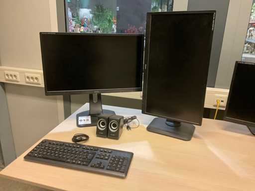 Monitor IIyama Prolite E2483hs (2x)