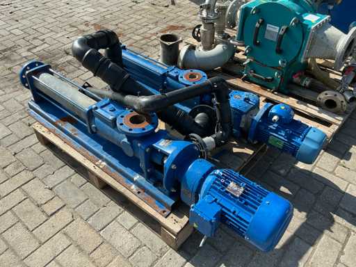 BPI 30DNL1 2018 , BPI16DNL1 2019 Verdrängerpumpe (2x)