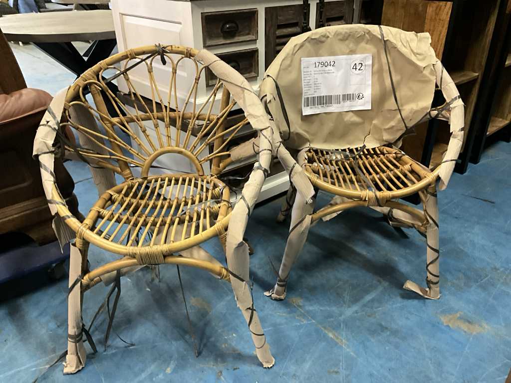 Rotan stoel (2x)