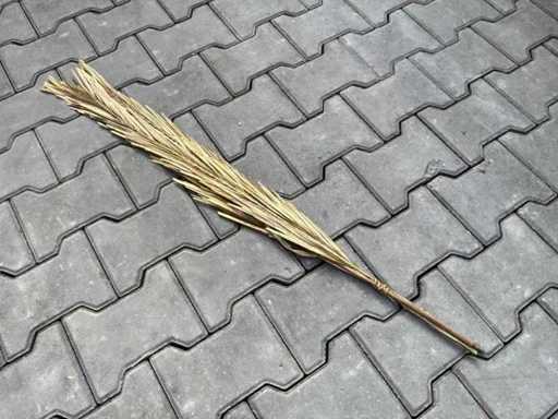 Ramură ornamentală (144x)