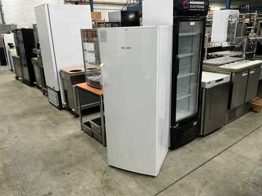 Zamrażarka Bosch FD 8911