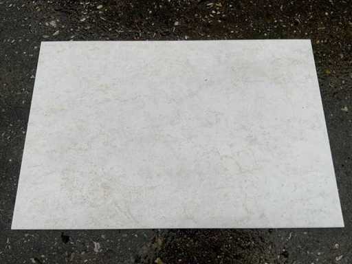 Ascot Bitech - 50x33cm - 58m2 - Wandtegels