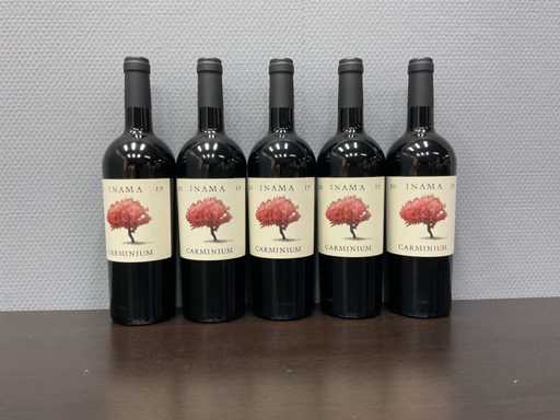 Inama Carminium Carmenere 2019 (5x)