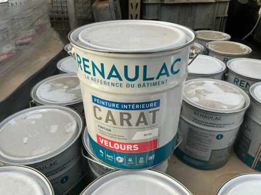 Peinture intérieure Renaulac Velour (Jaune) (23x)