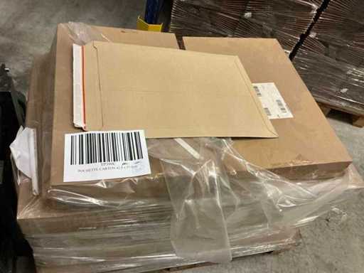 TP390C Envelop (1700x)