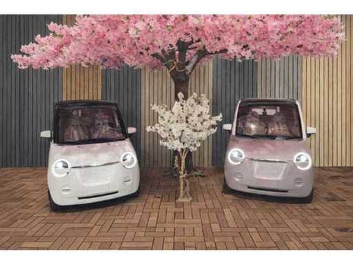 Microcars, artificial trees and plants, façade cladding, flower pots