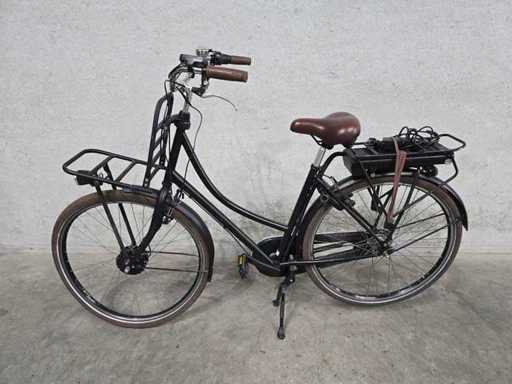 Granny - Electric - Bicycle -