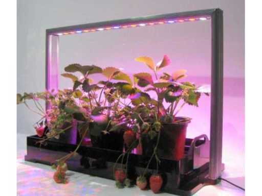 Parus M30 Pro Mini Farm 65cm