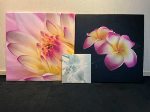 Wanddecoratie bloem (3x)