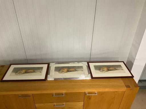 Accessoires muraux (3x)