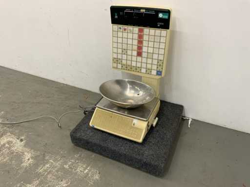 Digi - SM-25 - Scale