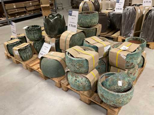 Bungxe Flower Pot Sets